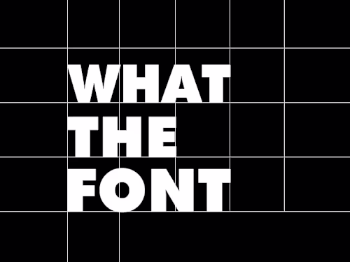 Newsletter Design for a Type Foundry