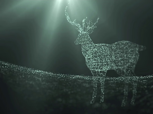 Motion Graphics Campaigns