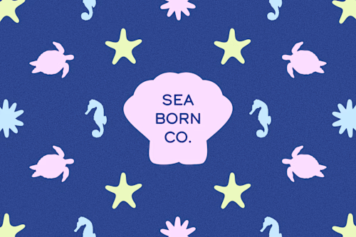Seaborn Co. – A Sustainable Swimwear Brand Identity