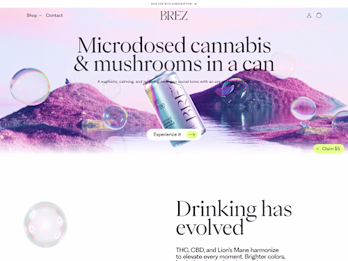 Stunning Brand Shopify Store Design and Development