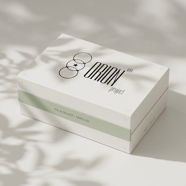Orion Brand Identity Project