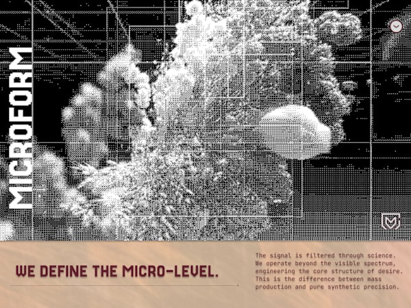 MICROFORM | The Structure Command