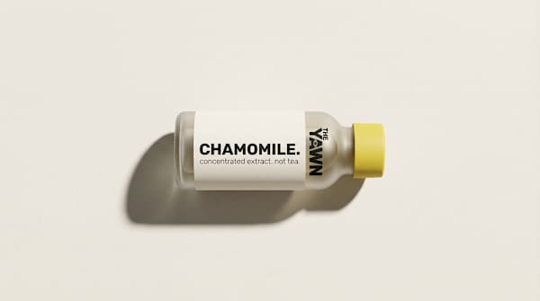Minimalist Brand Identity for The Yawn