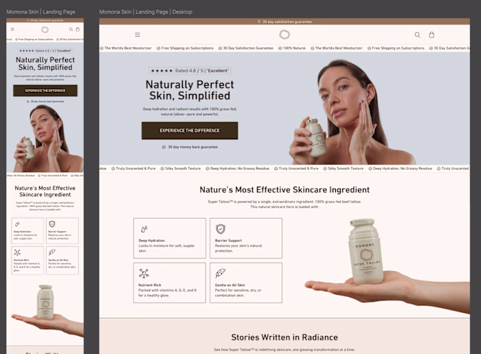 MOMONA SKIN Interactive Website Development
