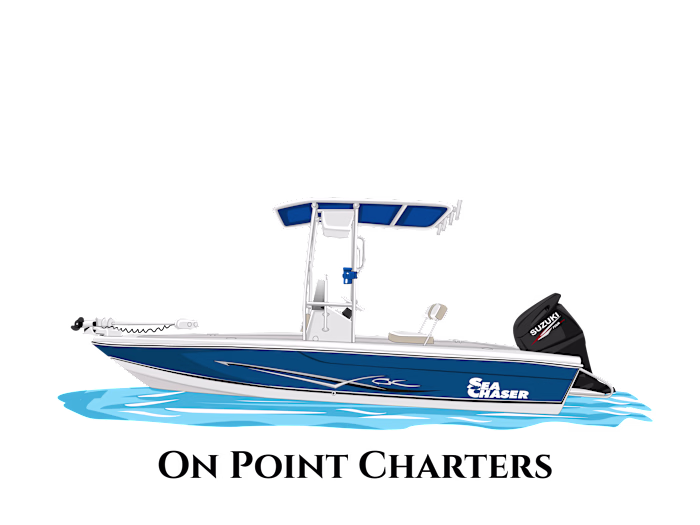 Responsive Website for Local Business