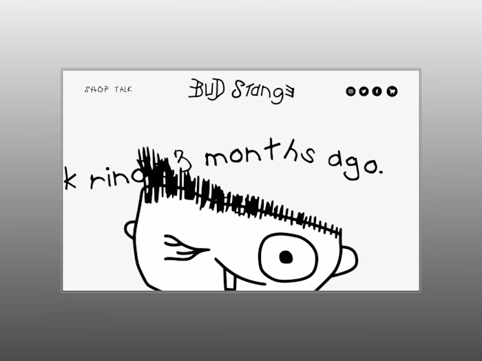 Bud Stange Squarespace Website