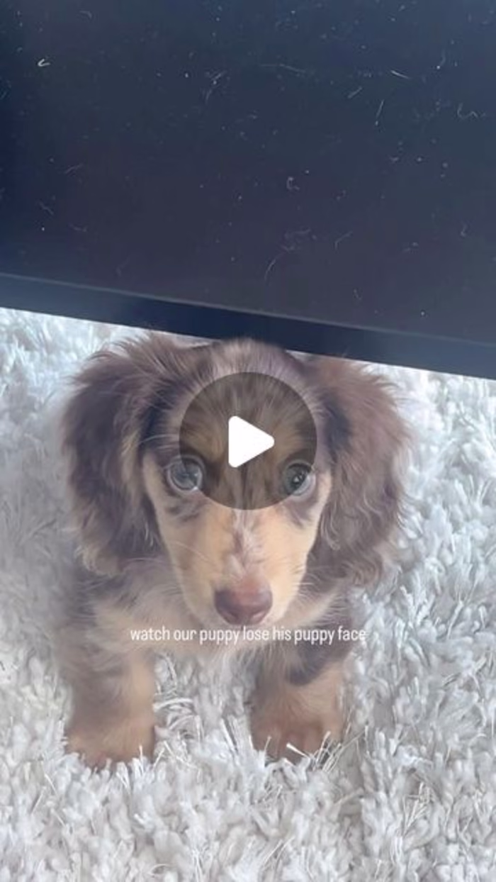 Trending Social Media Content Creation