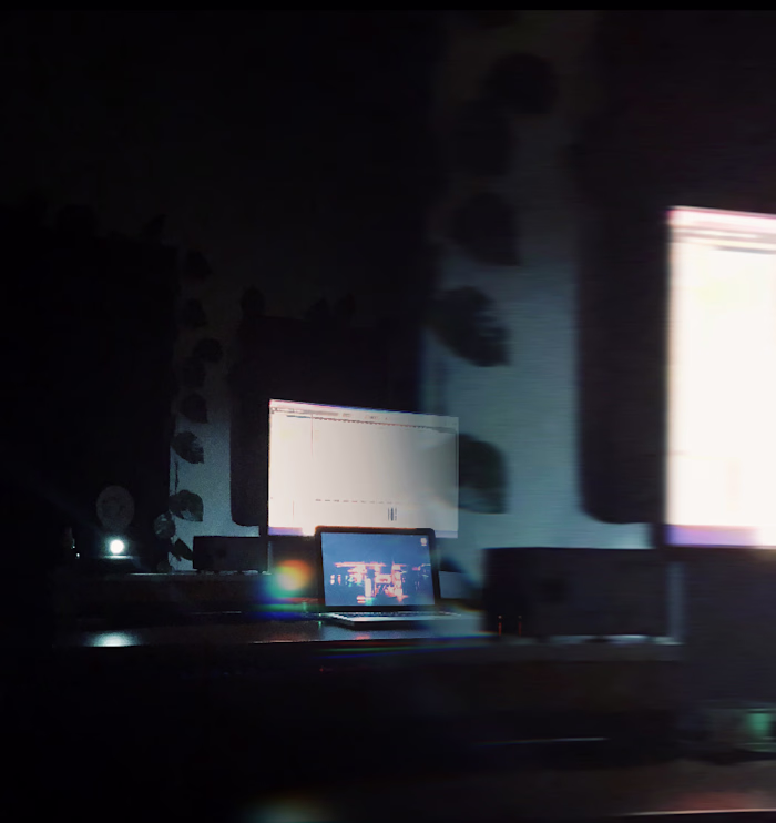 Mixing Engineer
I mixed various songs