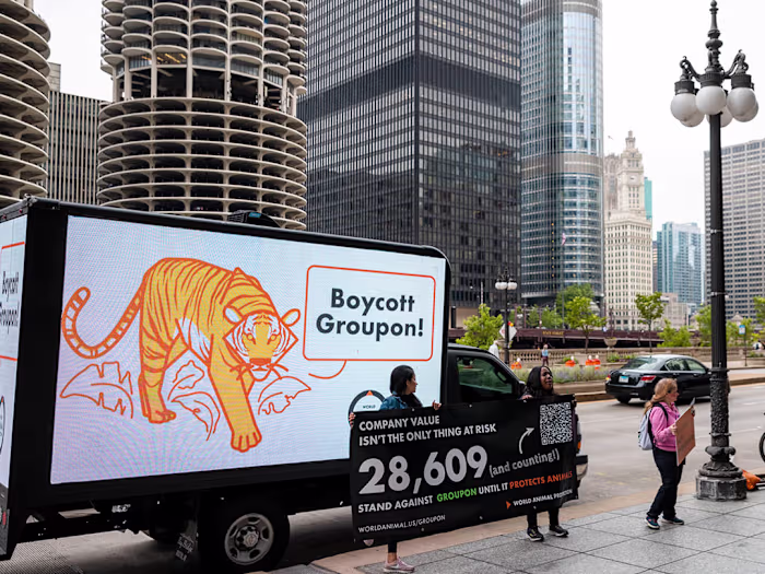 World Animal Protection Groupon Billboard Campaign