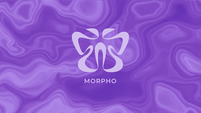 Morpho App