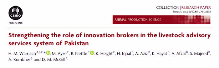 Proofreading Mastery: Perfecting Academic Content