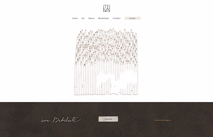 Artist Squarespace Website & Webshop Design