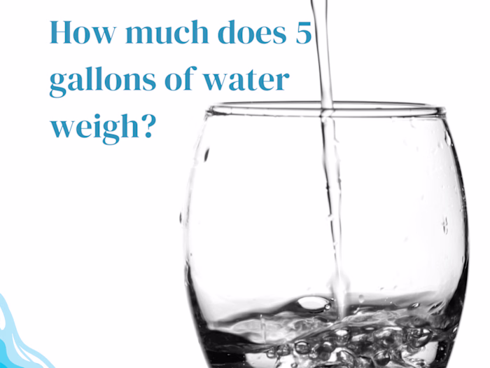 How much does 5 gallons of water weigh?
(Food Blog)