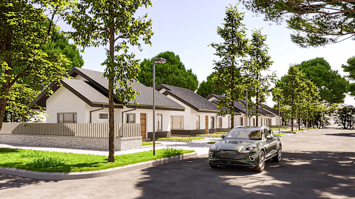 Neighborhood summer time.