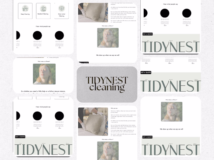 Tidy nest cleaning services website