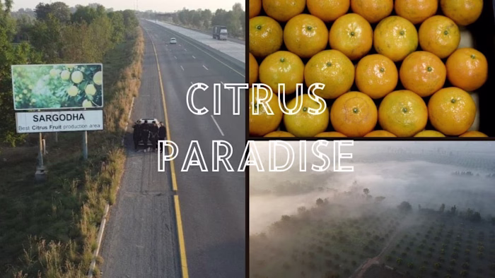 THE CITRUS PARADISE  KOTMOMIN SARGODHA  ( A Docomentary by Fary…