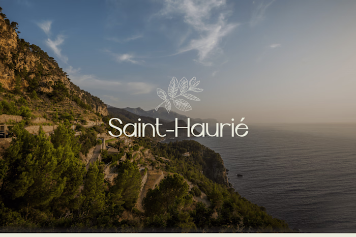 Saint Haurié - Brand, web and 3D design