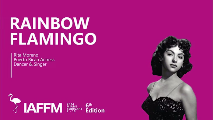 RAINBOW FLAMINGO - Film competition Teaser