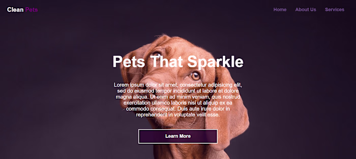 Pet Cleaning Website