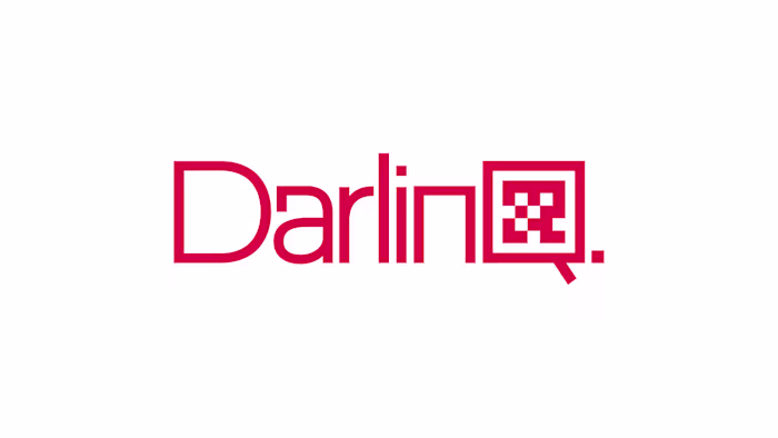 DarlinQ Logo Design & Branding