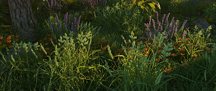 3D Environment