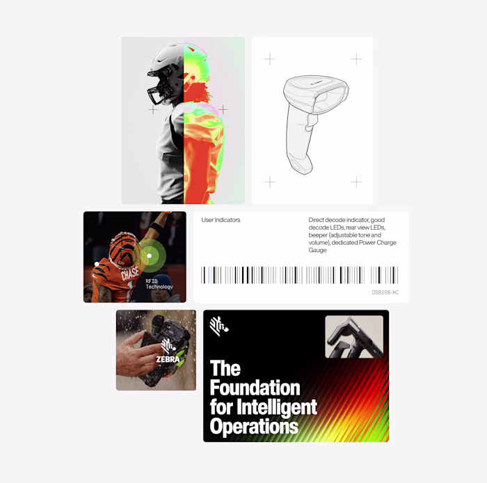 Design/Motion for Zebra