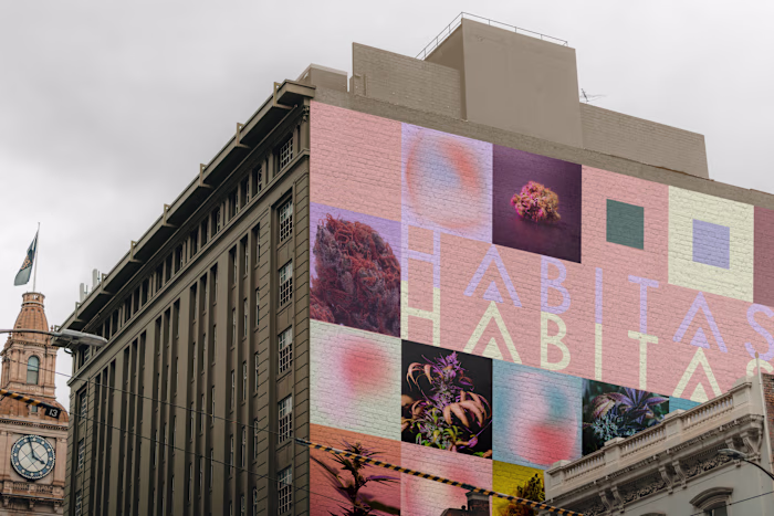 Habitas Brand Identity