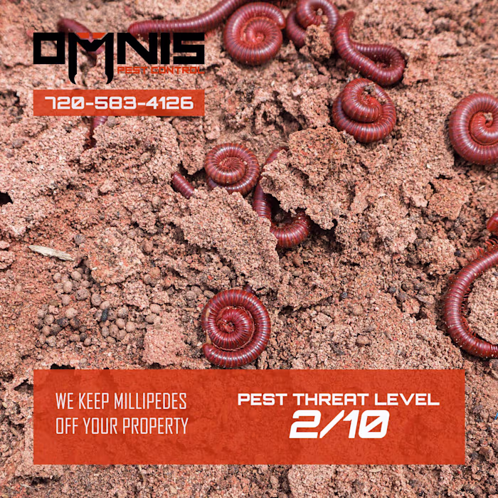 OMNIS Pest Control Pest Bio- SEO Writer