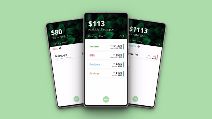 Budgeting App Design & Development with FlutterFlow