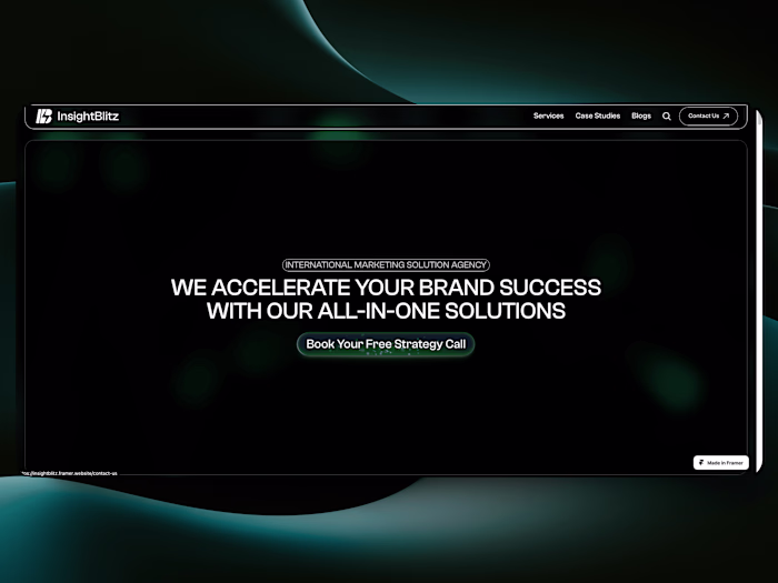 InsightBlitz Marketing Solution