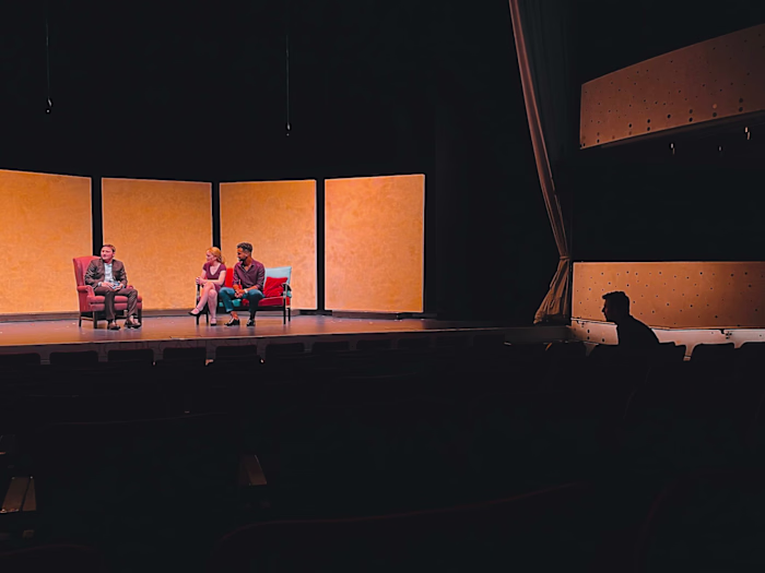 Project Spotlight - Script Feedback, Director & Playwright