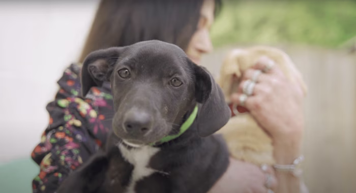 Homeward Trails Script