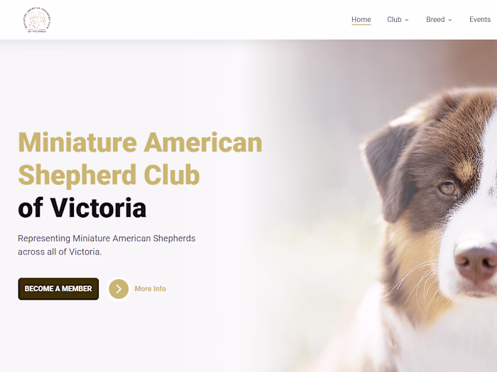 Astro Website with Decap CMS