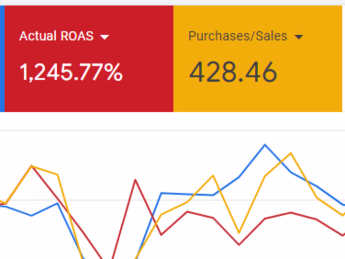 Achieved 1200% Return on Advertising Spend