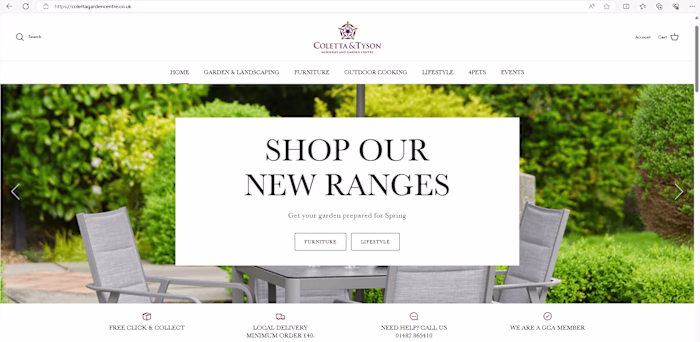 SEO Optimization and Website Revamp