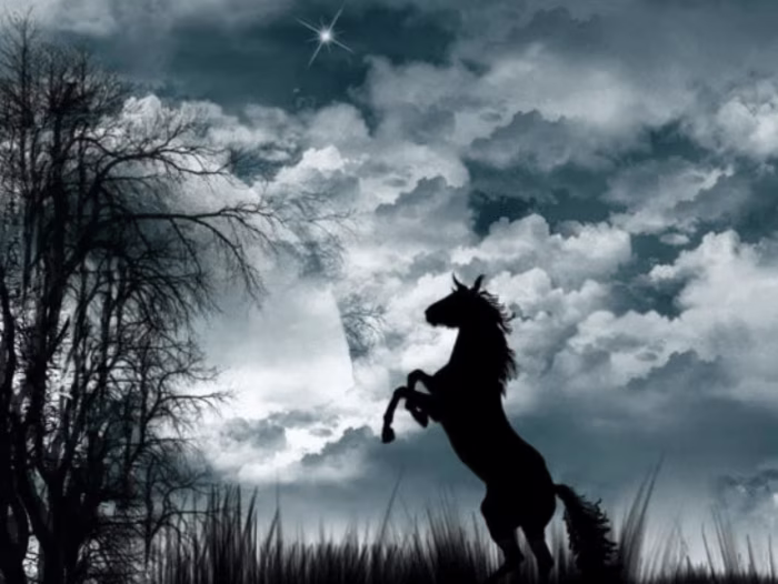 Graphic Designing Content (@dhanushaartoholic) on Instagram