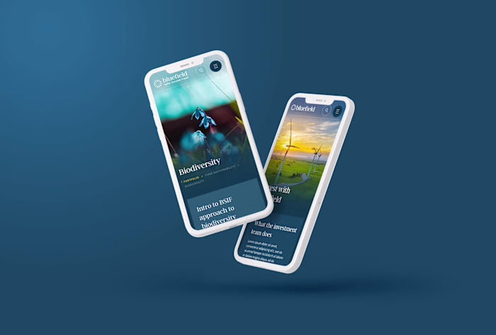 Website refresh and UX strategy for Renewable energy specialist