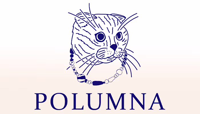 Branding & packing for POLUMNA (UA handcrafted jewelry) on Beha…