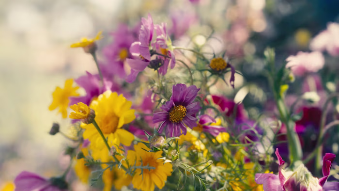 Magpie Floral | Brand Story