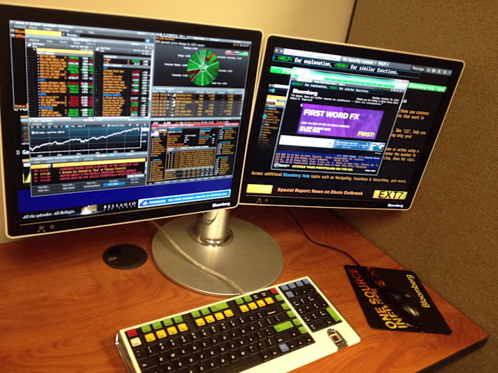 Mentoring financial experts' IT projects