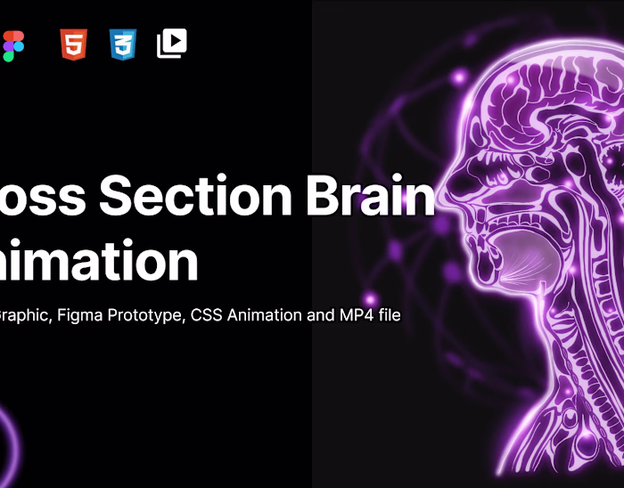 Brain anatomy animation