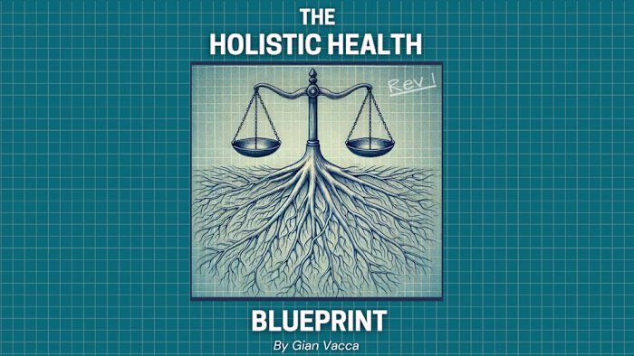 The Holistic Health Blueprint