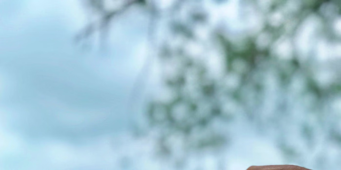 Day Zero: Cape Town's Water Crisis and Political Dynamics