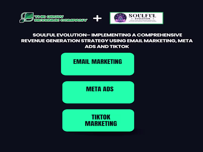 Revenue Generation using email makreting, Meta Ads and Tiktok