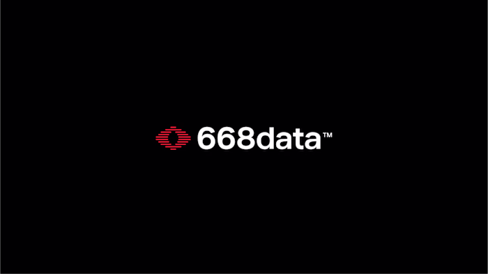 Brand Identity Design for 668data