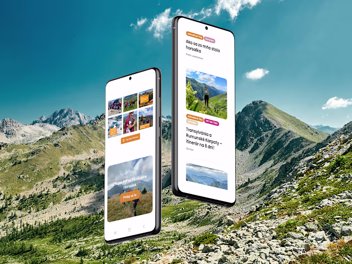 Horsalky — Website Design & Banner Animation