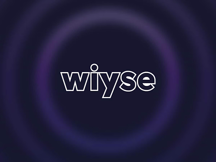 Wiyse: Launch campaign for AI Service (2024)