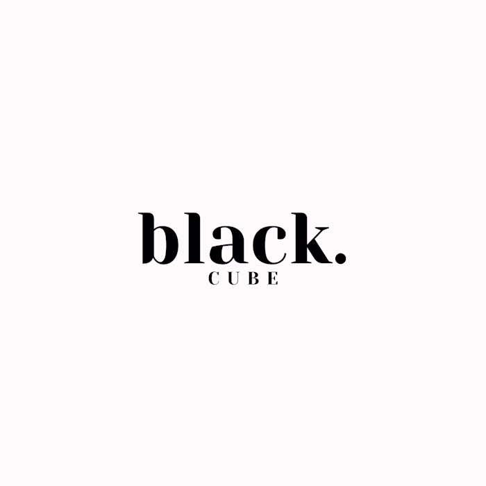 Black Cube Agency
