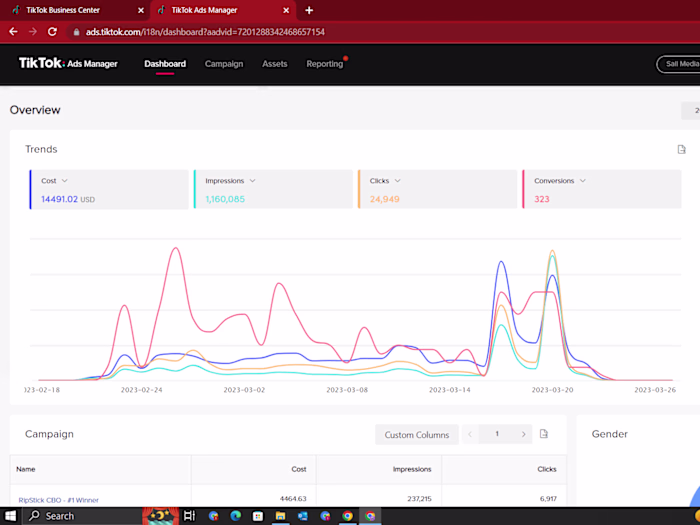 Tiktok Marketing Consultation