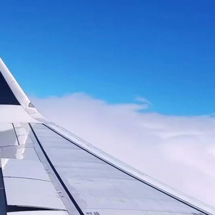 Taylor Scott on Instagram: “What a trip! #newzealand #travel #a…